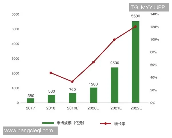 深圳乒乓球队转型之路的挑战与机遇全景观察